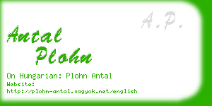 antal plohn business card